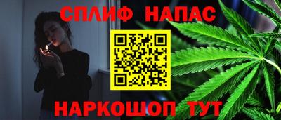 дживик Гай