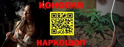 дживик Гай