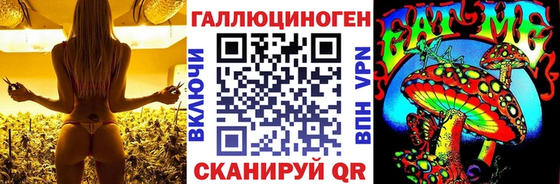 Галлюциногенные грибы MAGIC MUSHROOMS  мега ONION  shop состав  Большой Камень 