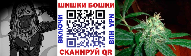 Конопля гибрид  Большой Камень 